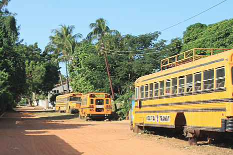 Gedumpte schoolbussen in Fajara / Gambia